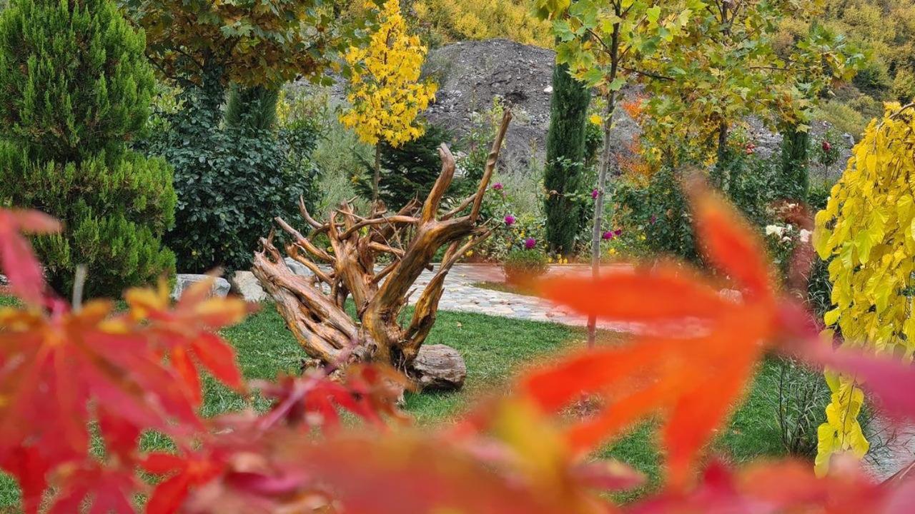 Hotel Dibra Park Agrotourism Peshkopi Zewnętrze zdjęcie